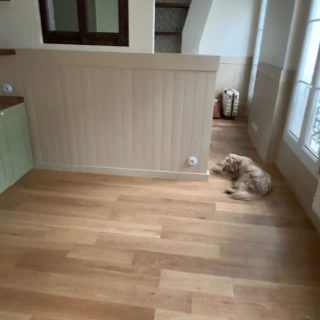 Je rénove mon appartement parisien 🏠 (partie 2)
Je n’en reviens pas du changement ! J’ai l’impression d’être chez moi sans vraiment être chez moi, mais ce qui est sûr c’est que le résultat est bluffant. J’ai hâte d’investir les lieux, que mes meubles reviennent (actuellement stockés dans un box de déménagement), de mettre ma patte en m’attaquant à la déco, de faire les marchés aux puces pour dénicher des petits trésors qui donneront de l’âme à mon nouvel appartement.

Prochaine étape, la réception de mes meubles (dont un buffet chiné avant les travaux !), puis la décoration de chaque espace (je vais prendre mon temps pour ça. En tout cas si vous avez suivi les travaux depuis 3 mois, j’espère que le résultat vous plaît ?

#decoration #projetrenovation #frenchlifestyle #vintagehome #cottagecore #cottage #oleron