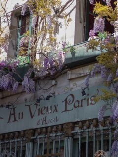 Quand la glycine nous offre ses belles grappes mauves et embaume les rues de Paris. 🌿🌸