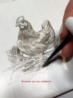 Mes petits bonheurs de février 🌿On est d’accord que le highlight de ce mois-ci était l’arrêt de la pluie et le retour du soleil ? On revit enfin ! Ça me donnerait presque envie d’aller me rouler dans l’herbe 😅🌿☀️